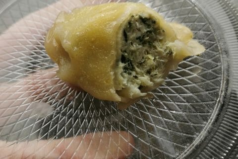 Cliquez pour zoomer ! Gyoza poulet et chou chinois Thermomix par edwige78