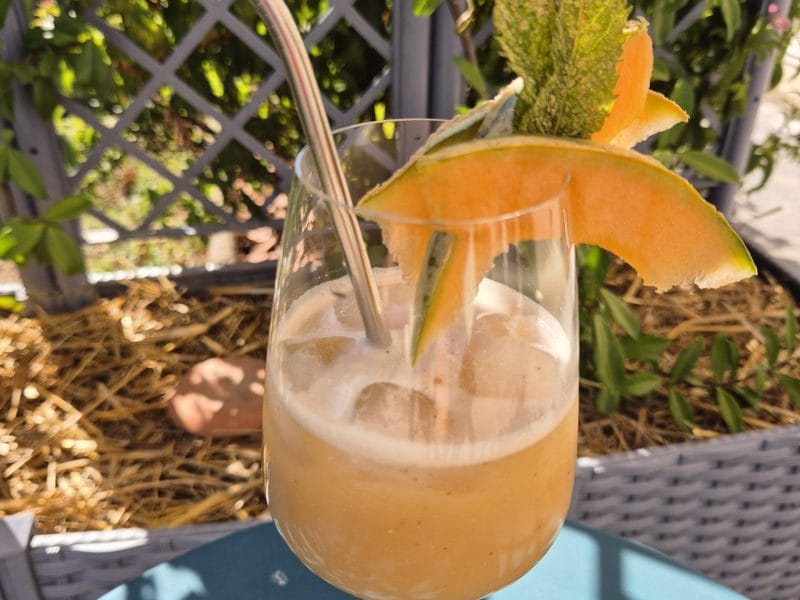 Cliquez pour zoomer ! Mocktail de pépins de melon Thermomix par Nessa