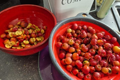 Cliquez pour zoomer ! Gelée de pommes Thermomix par Nessa