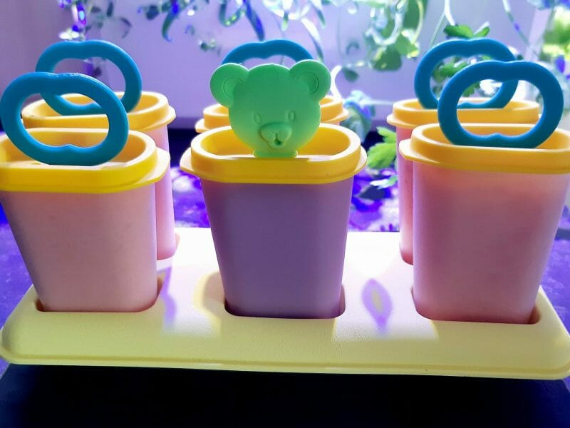 Cliquez pour zoomer ! Mousse de fraises Thermomix par Nessa