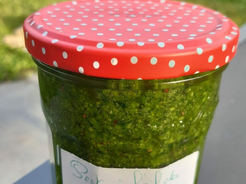 Cliquez pour zoomer ! Pesto à l’ail des ours Thermomix par Nessa