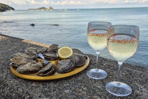 Cliquez pour zoomer ! Photo de Nessa Thermomix par Nessa