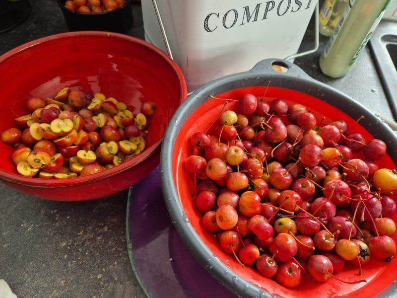 Cliquez pour zoomer ! Photo de Nessa Thermomix par Nessa