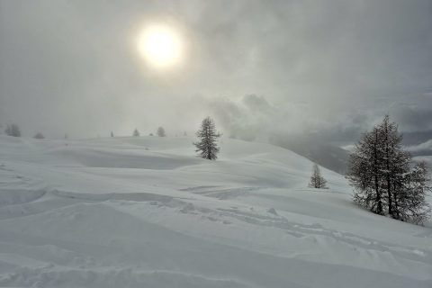 Cliquez pour zoomer ! Photo de Nessa Thermomix par Nessa