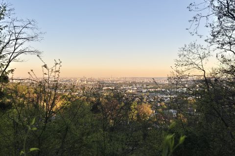 Cliquez pour zoomer ! Photo de Nessa Thermomix par Nessa