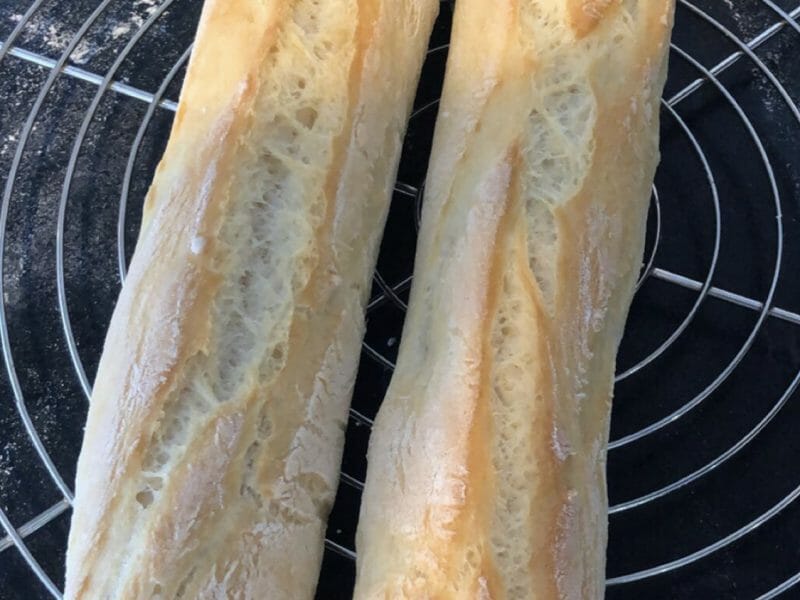 Cliquez pour zoomer ! Baguettes Thermomix par manouchee