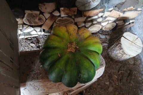 Cliquez pour zoomer ! Photo de celine_411 Thermomix par celine_411