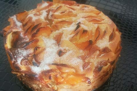 Cliquez pour zoomer ! Far aux abricots Thermomix par eduardinho