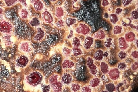 Cliquez pour zoomer ! 20210305_183230 Thermomix par LauraR25