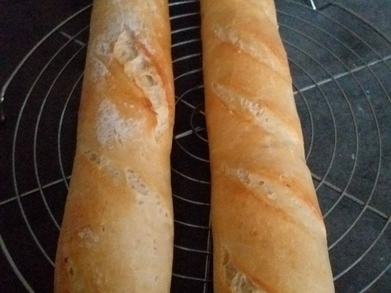 Cliquez pour zoomer ! Baguettes Thermomix par lulu_sylvie