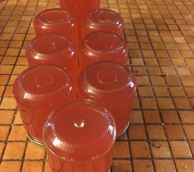 Cliquez pour zoomer ! Gelée de coings façon Cotignac Thermomix par Valou39