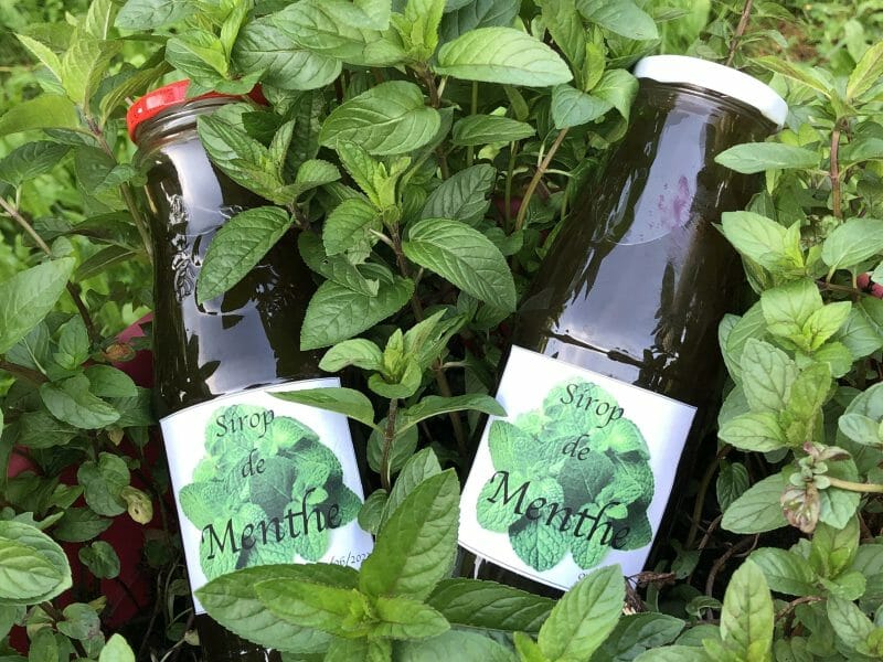 Cliquez pour zoomer ! Sirop de menthe Thermomix par Valou39