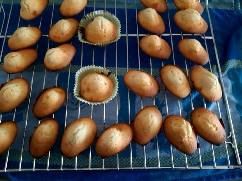 Cliquez pour zoomer ! Madeleines Thermomix par patocheska