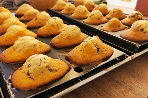 Cliquez pour zoomer ! Madeleines Thermomix par emylie1510