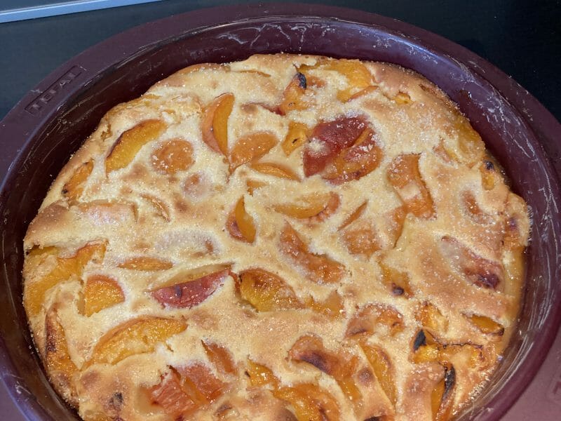 Cliquez pour zoomer ! Far aux abricots Thermomix par Fabie95800