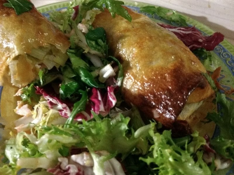 Cliquez pour zoomer ! Brick de saumon et poireaux Thermomix par Zabettenal