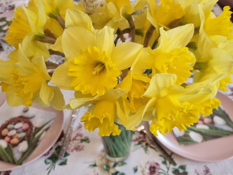 Cliquez pour zoomer ! Gougères Thermomix par Aurelbbjaloed