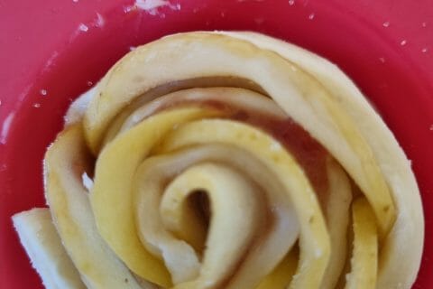 Cliquez pour zoomer ! Roses feuilletées aux pommes Thermomix par Aurelbbjaloed