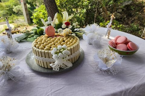 Cliquez pour zoomer ! Gâteau lapin de Pâques Thermomix par Lilette