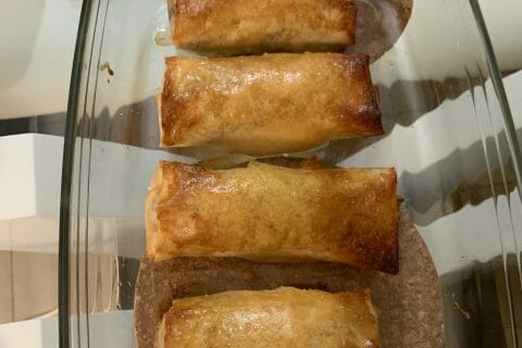 Cliquez pour zoomer ! Brick de saumon et poireaux Thermomix par amelia_4