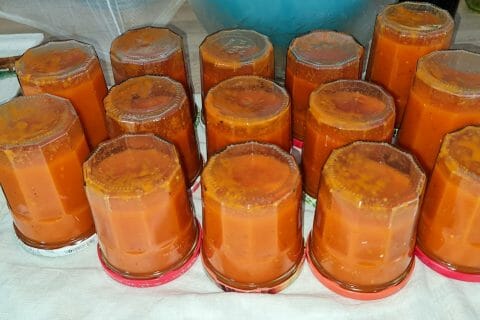 Cliquez pour zoomer ! Coulis de tomates Thermomix par Caroline