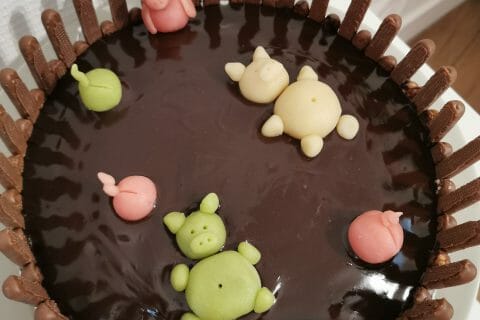 Cliquez pour zoomer ! La mare aux cochons Thermomix par eize