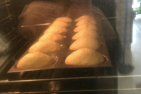 Cliquez pour zoomer ! B3F73A44-C7F3-4554-A961-EC93C80977D5