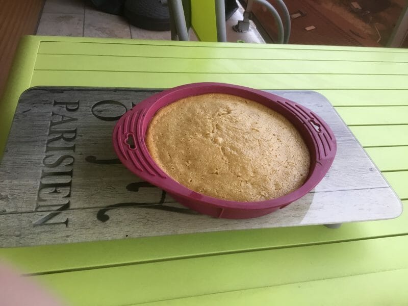 Cliquez pour zoomer ! Gâteau des femmes pressées poires et chocolat Thermomix par jacky95320