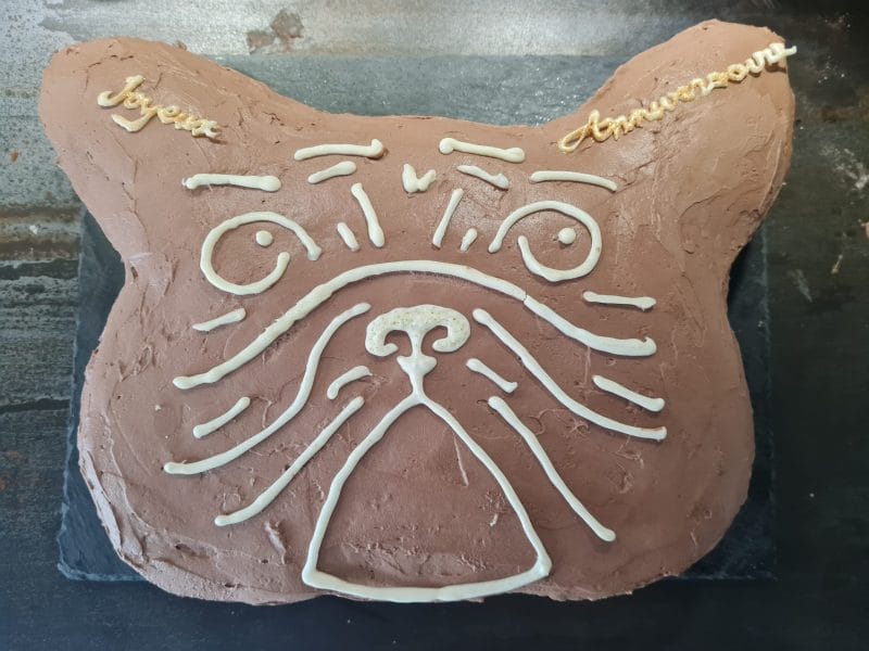 Cliquez pour zoomer ! Génoise au chocolat Thermomix par Martine55