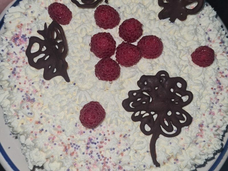 Cliquez pour zoomer ! Vacherin Thermomix par Martine55