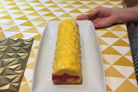Cliquez pour zoomer ! Bûche glacée mangue et framboise Thermomix par virgithom