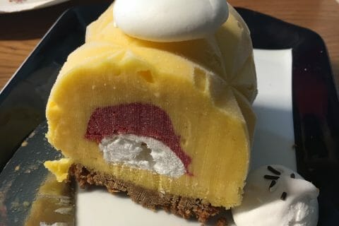 Cliquez pour zoomer ! Bûche glacée mangue et framboise Thermomix par virgithom