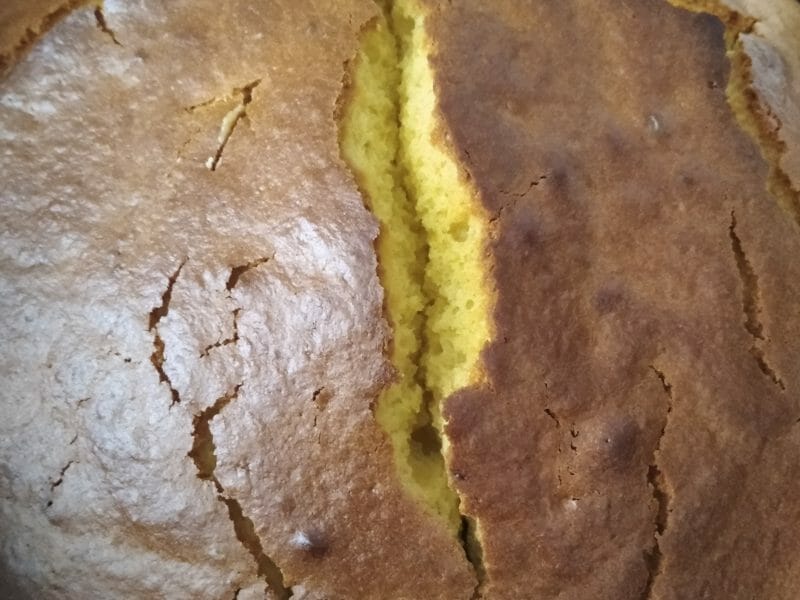 Cliquez pour zoomer ! Gâteau à l’orange Thermomix par valerie13