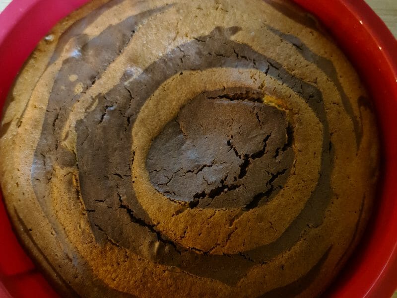 Cliquez pour zoomer ! Gâteau zébré Thermomix par michalex