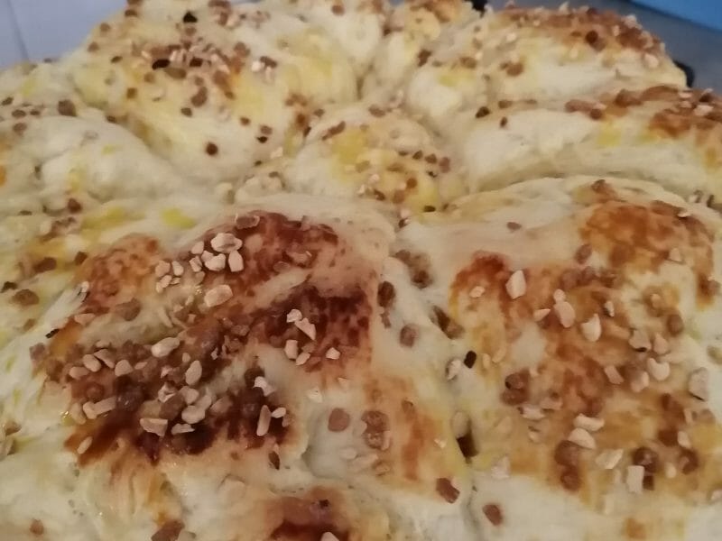 Cliquez pour zoomer ! Brioche Buchty Thermomix par manon_210