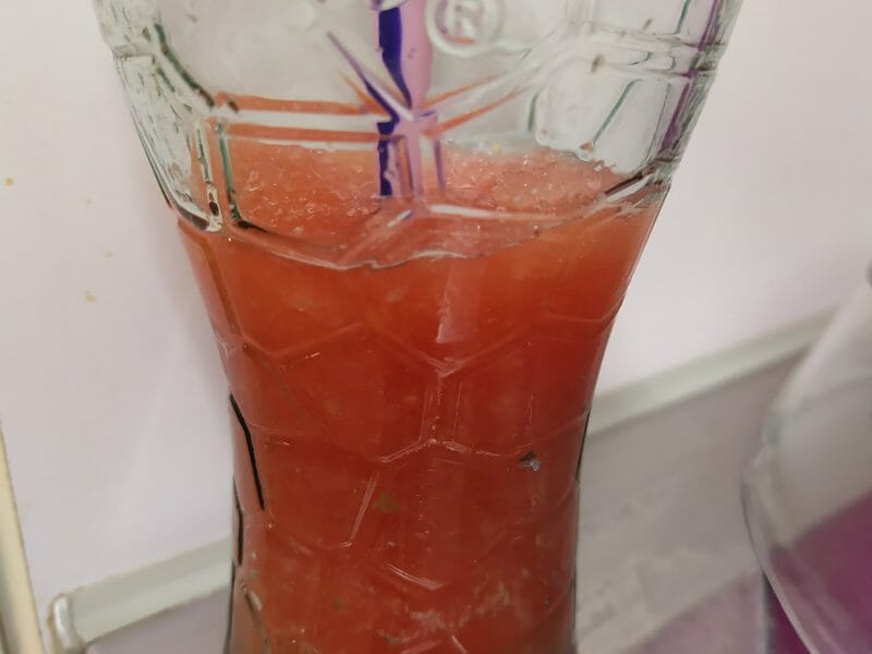 Cliquez pour zoomer ! Granité de pastèque Thermomix par sofia_36