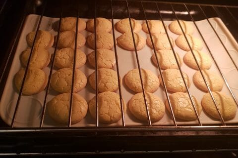 Cliquez pour zoomer ! Macarons Thermomix par hajar2006