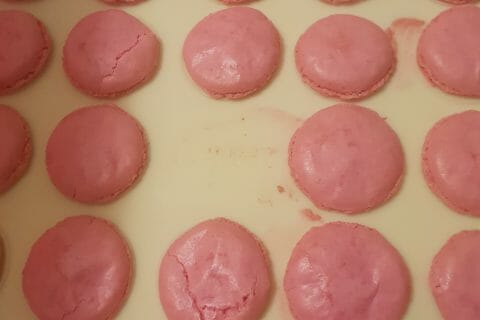 Cliquez pour zoomer ! image-9fb5cf4c-8db2-4261-ad29-5783e76e76ad