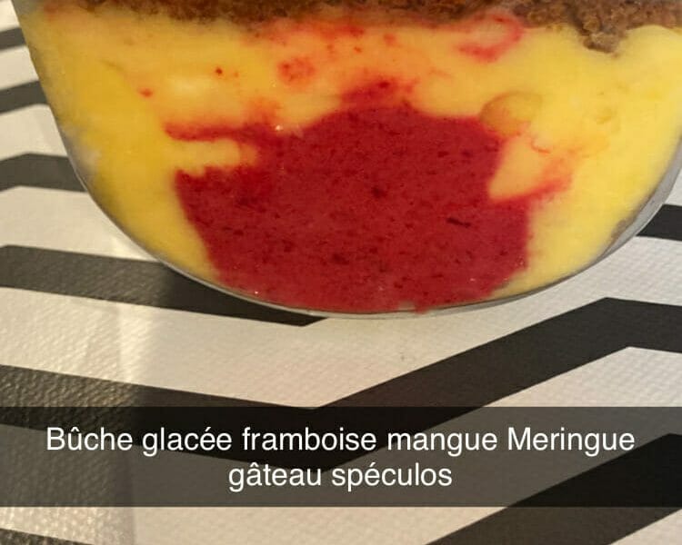 Cliquez pour zoomer ! Bûche glacée mangue et framboise Thermomix par aurore_tom