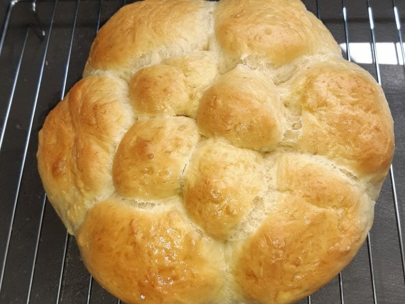 Cliquez pour zoomer ! Brioche Buchty Thermomix par nathy34