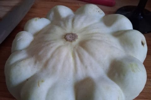 Cliquez pour zoomer ! Velouté de pâtisson Thermomix par bennutschat