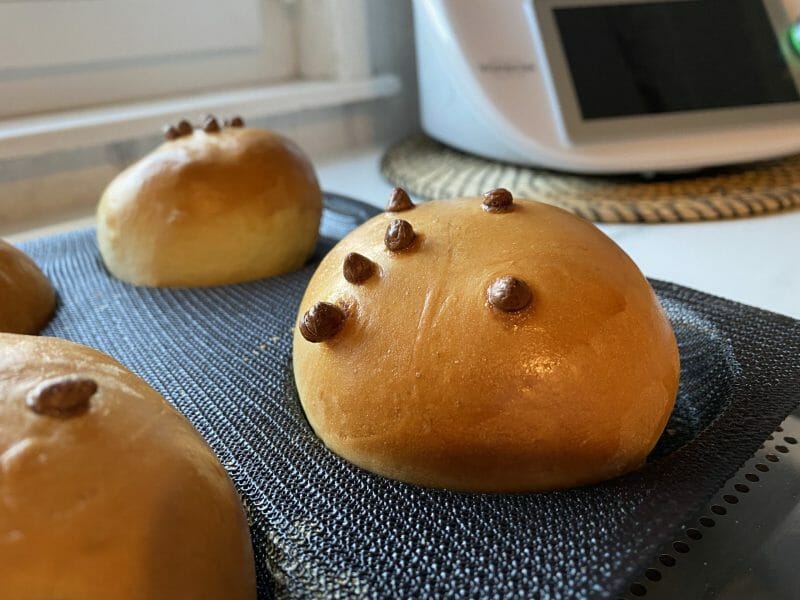 Cliquez pour zoomer ! Pain brioché au chocolat – Pitch Thermomix par delphine62880