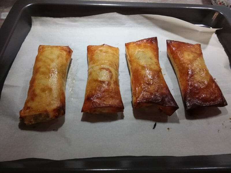 Cliquez pour zoomer ! Brick de saumon et poireaux Thermomix par monique_18