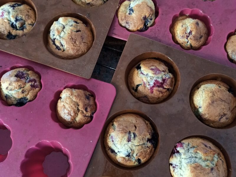 Cliquez pour zoomer ! Mini muffins aux fruits rouges Thermomix par karine_162