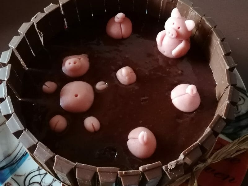 Cliquez pour zoomer ! La mare aux cochons Thermomix par mapi74
