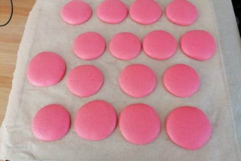 Cliquez pour zoomer ! Macarons Thermomix par lalalr