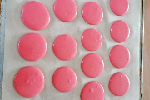 Cliquez pour zoomer ! Macarons Thermomix par lalalr