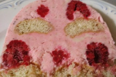 Cliquez pour zoomer ! Tiramisu aux framboises Thermomix par zazoublack