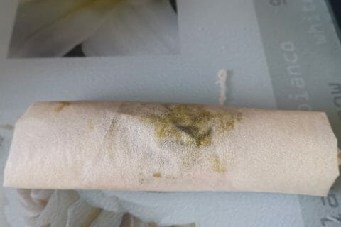 Cliquez pour zoomer ! Brick de saumon et poireaux Thermomix par valounounou