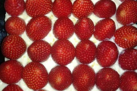 Cliquez pour zoomer ! Tarte aux fraises sans cuisson Thermomix par guendez